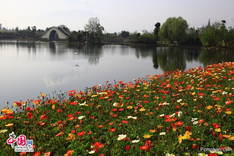 赏春：花海佛国 大美峨眉之秀湖春色(图)