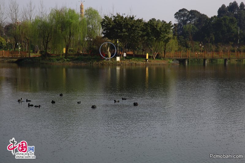 赏春：花海佛国 大美峨眉之秀湖春色(图)