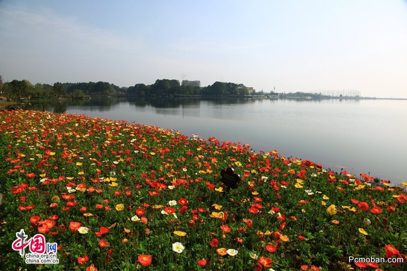 赏春：花海佛国 大美峨眉之秀湖春色(图)